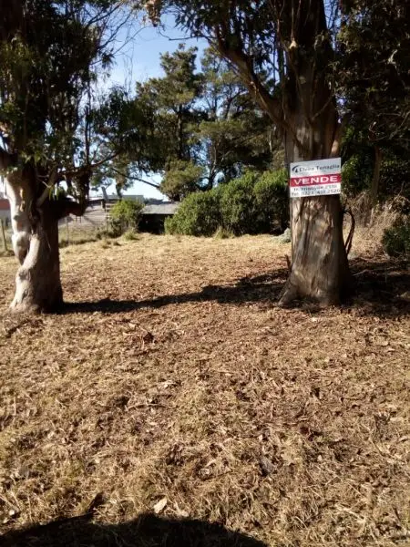 Terreno en venta en PLAZA PERALTA RAMOS