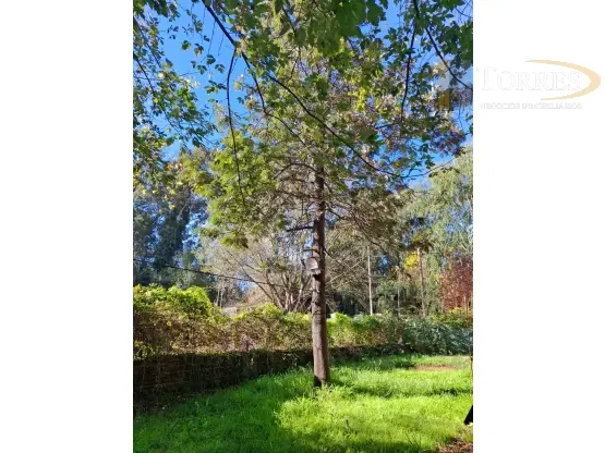 Casa de 2 ambientes en alquiler en BOSQUE PERALTA RAMOS