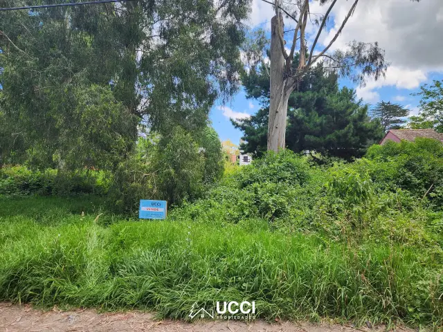 Terreno en venta en BOSQUE PERALTA RAMOS