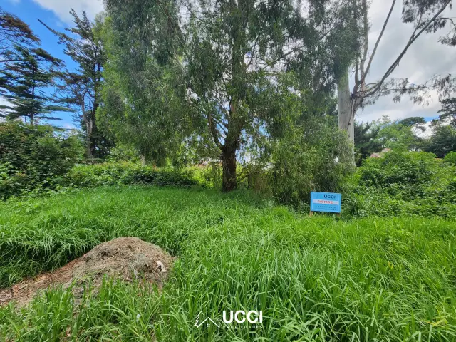 Terreno en venta en BOSQUE PERALTA RAMOS