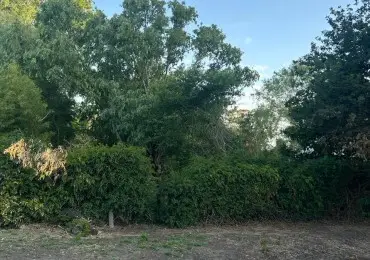 Terreno en venta en ALFAR