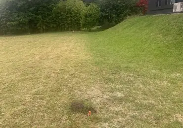 Terreno en venta en SIERRA DE LOS PADRES