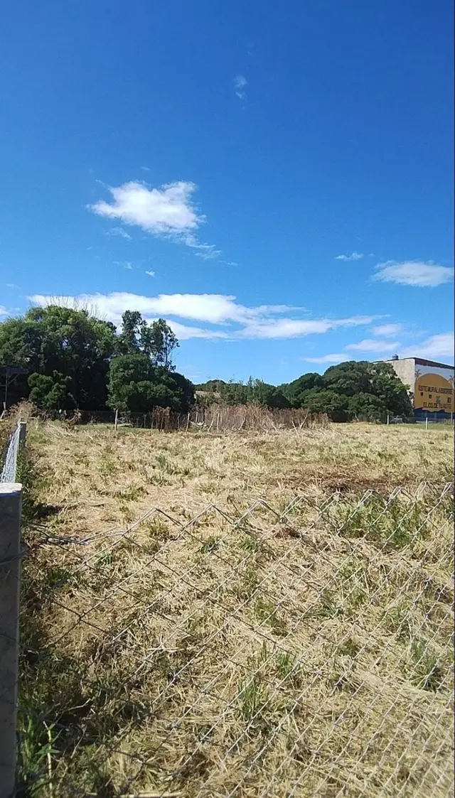 Terreno en venta en PLAYA LOS LOBOS