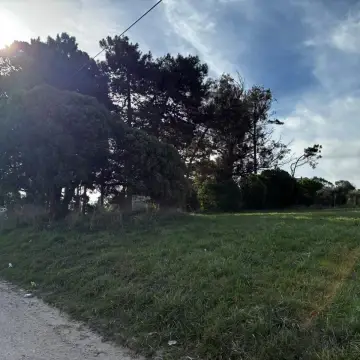 Terreno en venta en PLAYA LOS LOBOS