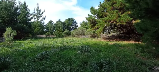 Terreno en venta en PUNTA MOGOTES