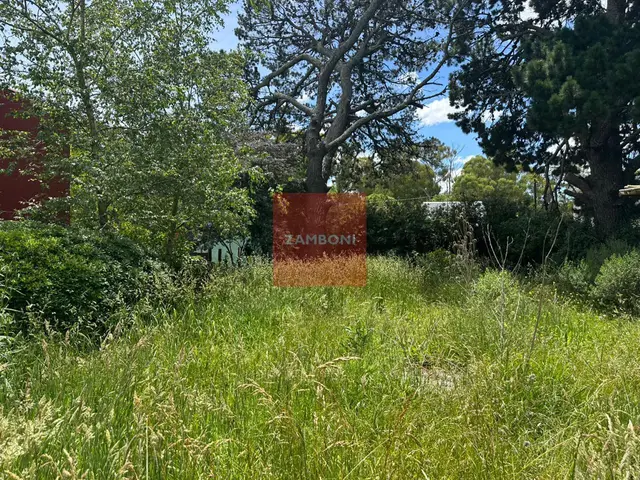 Terreno en venta en LA GLORIA DE LA PEREGRINA