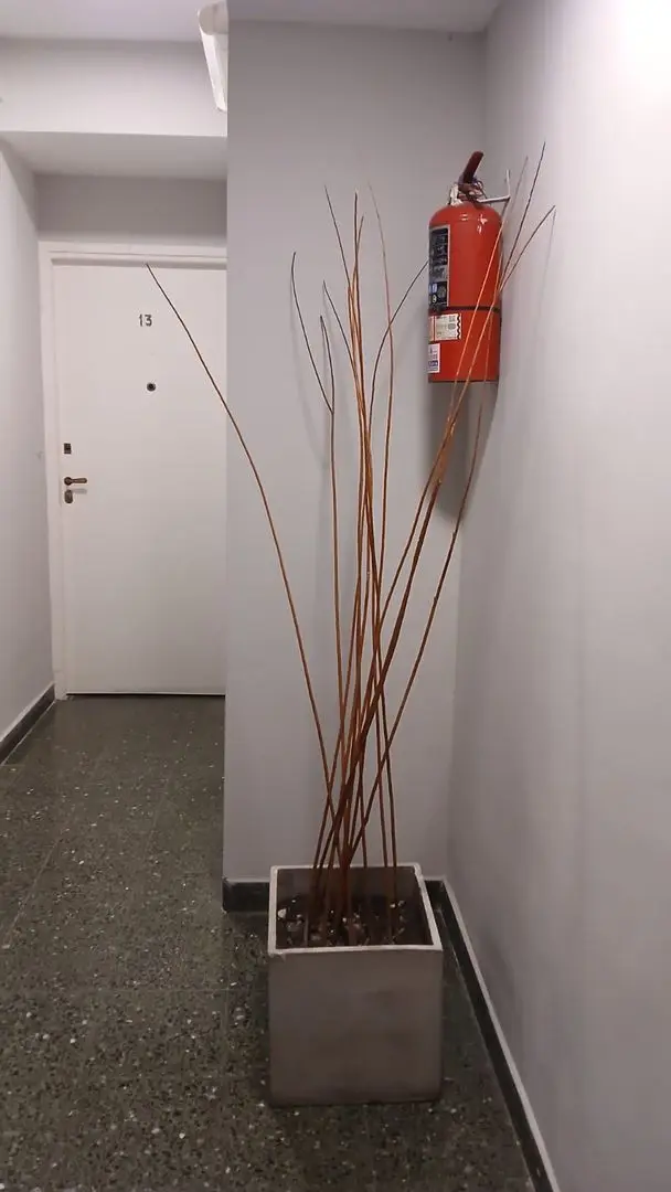Departamento de 2 ambientes en venta en ESTACION TERMINAL (ALDREY)
