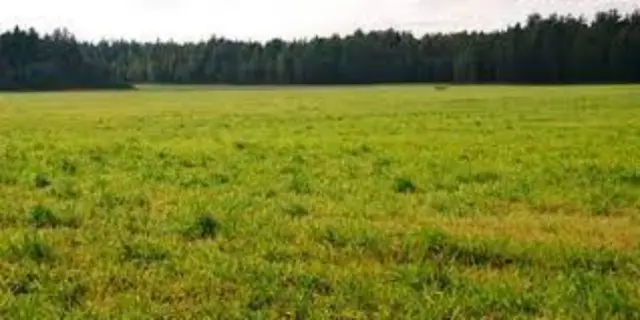 Terreno en venta en Mar del Plata