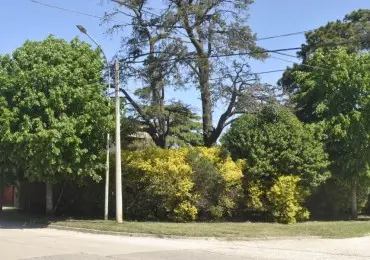 Terreno en venta en LOS PINARES