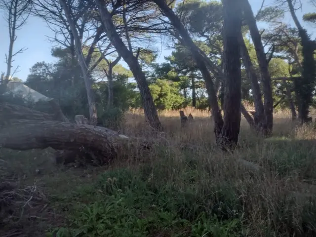 Terreno en venta en Centro