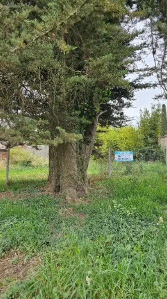 Terreno en venta en NUEVA POMPEYA