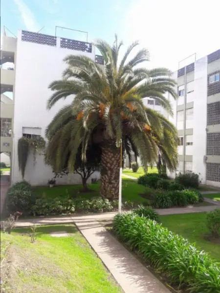 Departamento de 3 ambientes en venta en AEROPARQUE