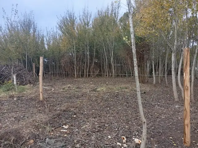 Terreno en venta en SAN JACINTO
