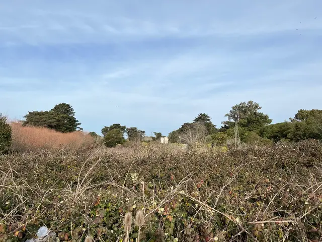 Terreno de 2 ambientes en venta en Parque Industrial