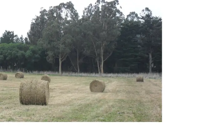 Terreno en venta en SIERRA DE LOS PADRES