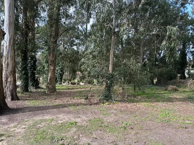 Terreno en venta en SIERRA DE LOS PADRES