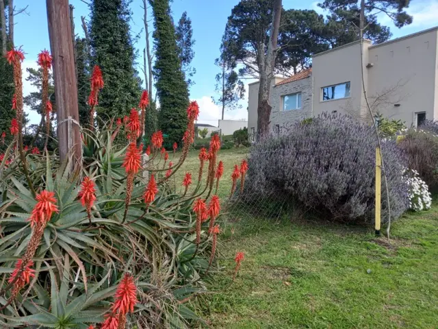Terreno en venta en SIERRA DE LOS PADRES