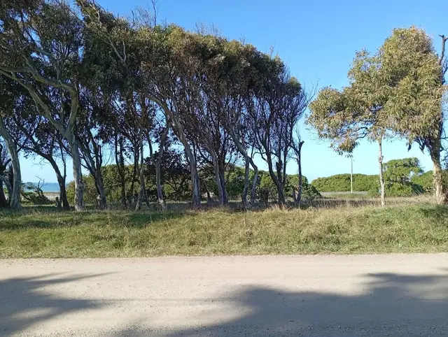 Terreno en venta en PLAYA LOS LOBOS