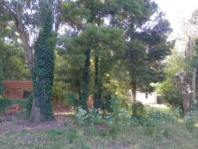 Terreno en venta en FRAY LUIS BELTRAN