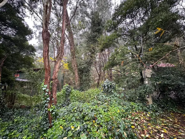 Terreno en venta en BOSQUE PERALTA RAMOS