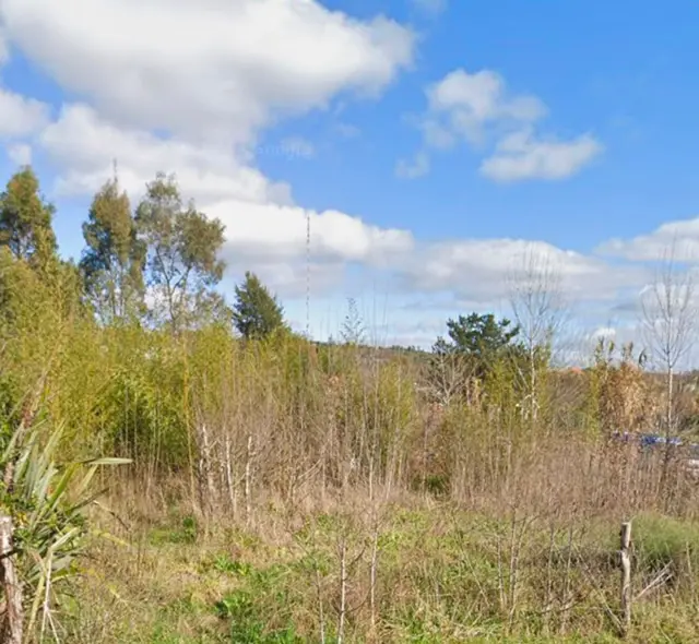 Terreno en venta en LA PEREGRINA