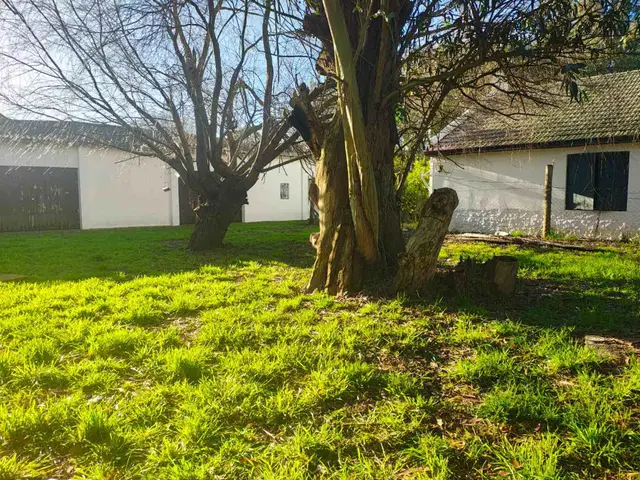 Terreno en venta en CAMET FELIX U.
