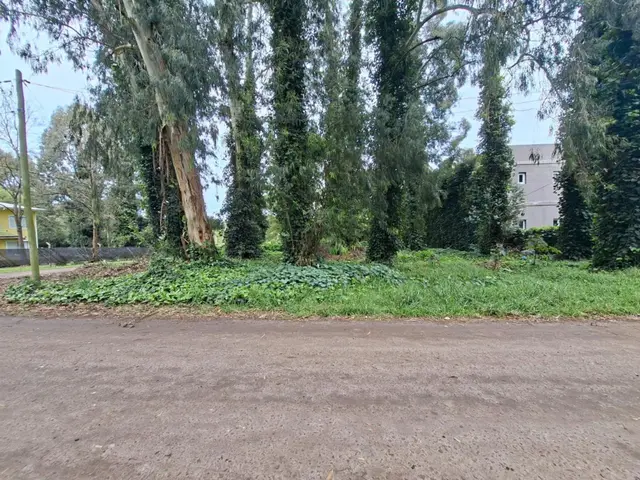 Terreno en venta en BOSQUE PERALTA RAMOS