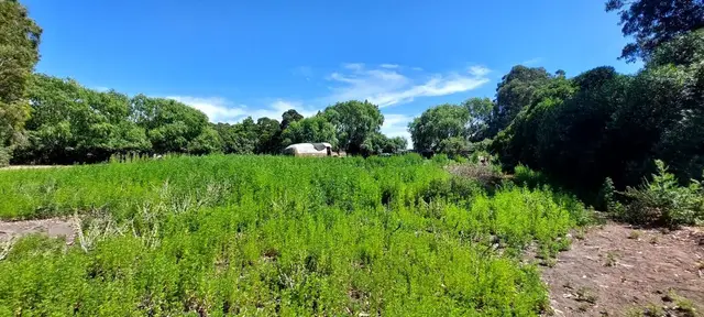 Terreno en venta en Balneario Playa Dorada