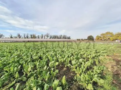 Terreno en venta en Mar del Plata