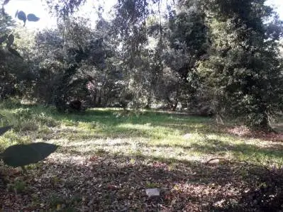 Terreno en venta en SIERRA DE LOS PADRES