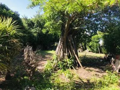 Terreno en venta en SAN CARLOS