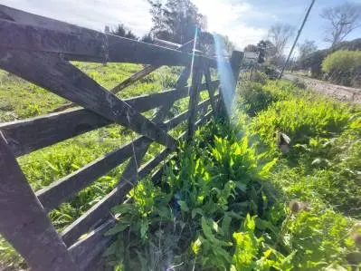 Terreno en venta en PARQUE CAMET