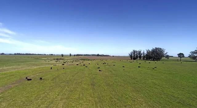 Terreno en venta en Mar del Plata
