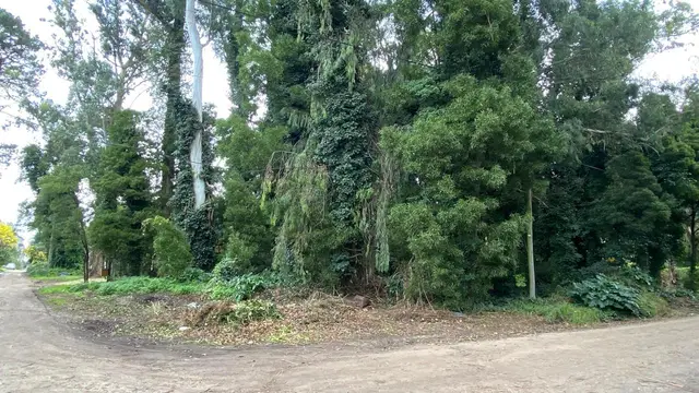 Terreno en venta en Bosque Peralta Ramos