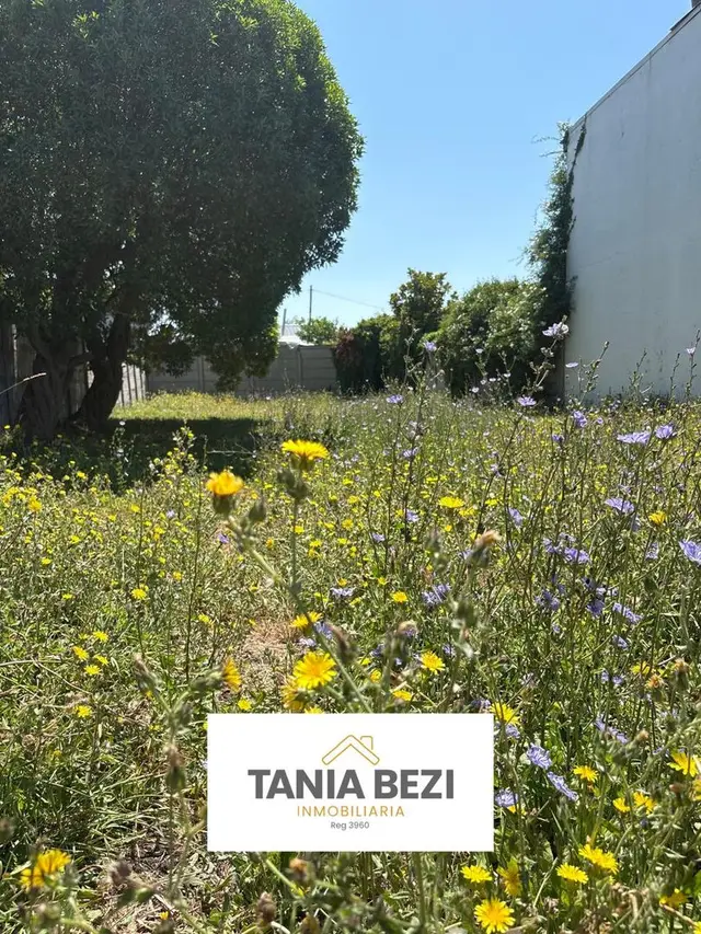 Terreno en venta en Mar del Plata