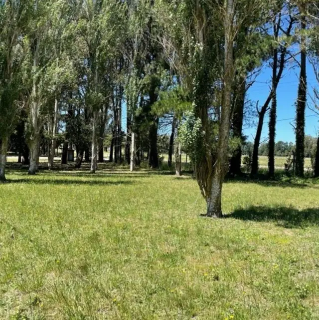 Terreno en venta en Centro