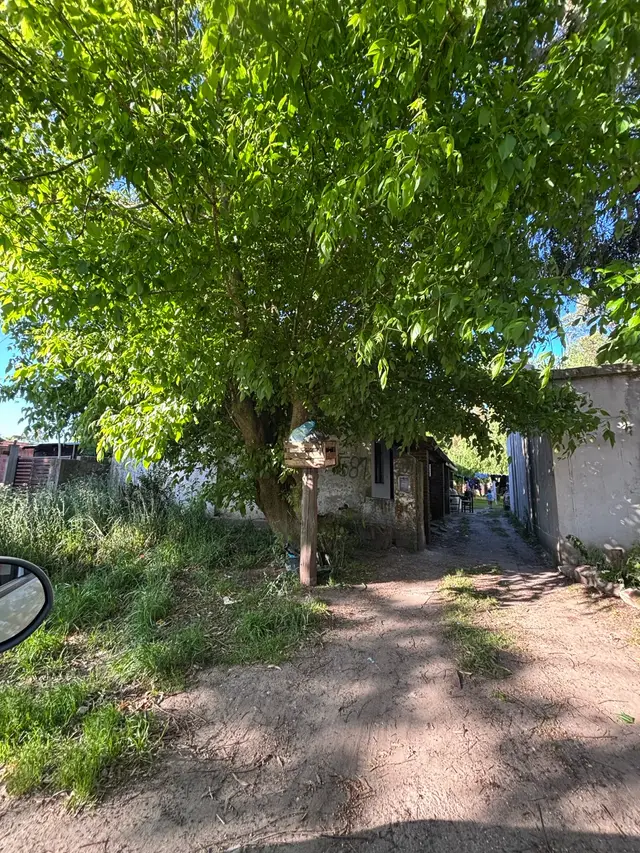 Terreno en venta en Centro