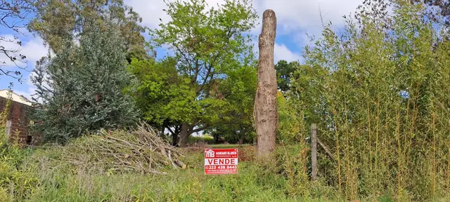 Terreno en venta en LA GLORIA DE LA PEREGRINA