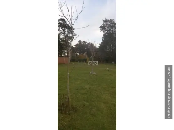 Terreno de 1 ambiente en venta en LA GLORIA DE LA PEREGRINA