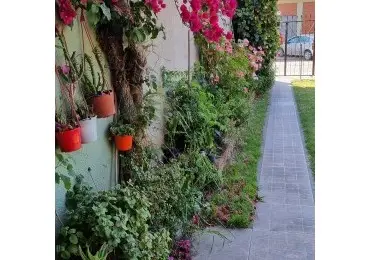 Casa en venta en RIVADAVIA BERNARDINO