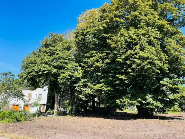 Terreno en venta en SIERRA DE LOS PADRES