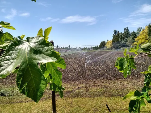 Terreno en venta en Mar del Plata