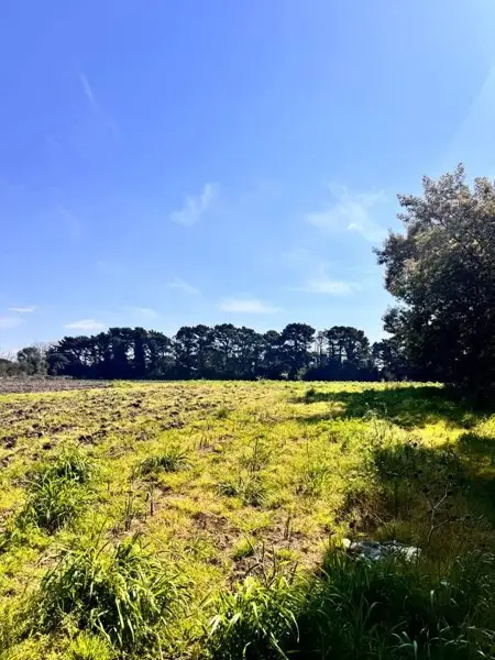 Terreno en venta en Sierra de los Padres