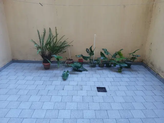 Departamento de 1 ambiente en venta en Centro
