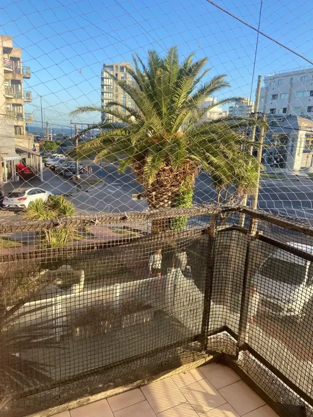 Departamento de 2 ambientes en alquiler en Mar del Plata