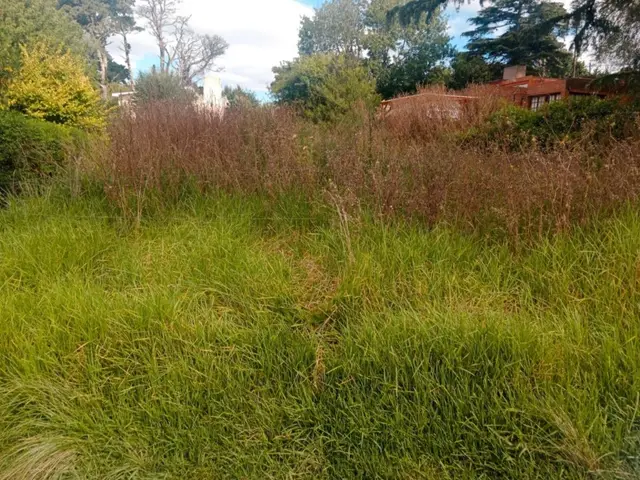Terreno en venta en CORONEL DORREGO