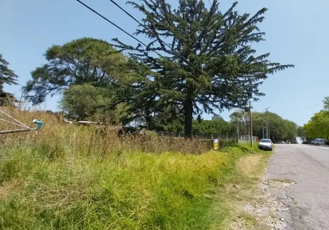 Terreno en venta en LA HERRADURA