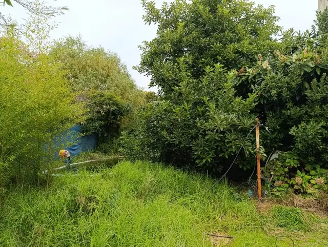 Terreno en venta en CONSTITUCION