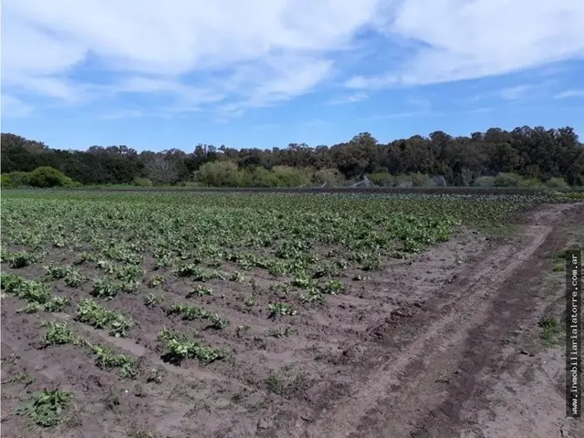 Terreno de 3 ambientes en venta en Mar del Plata