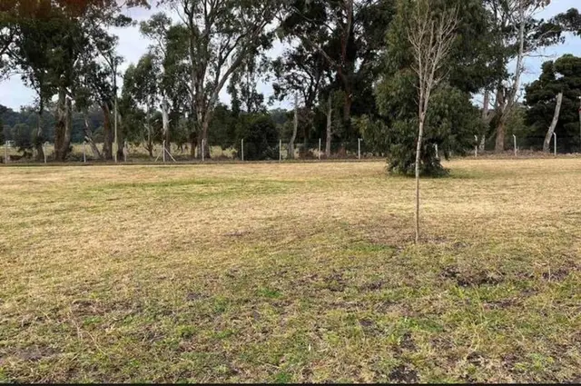 Terreno en venta en NEWBERY JORGE